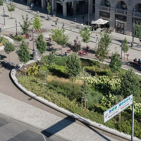 Downtown Sunrise Budapest